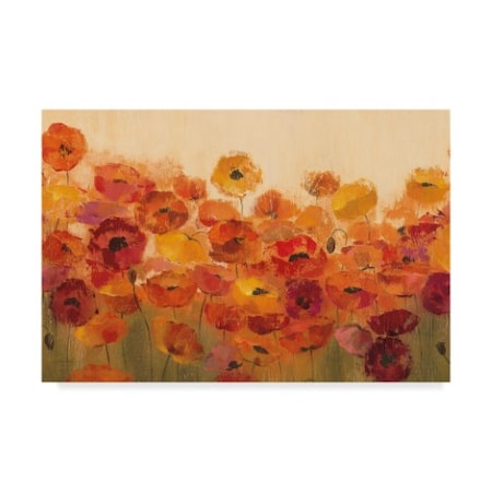 Silvia Vassileva 'Summer Poppies' Canvas Art,30x47